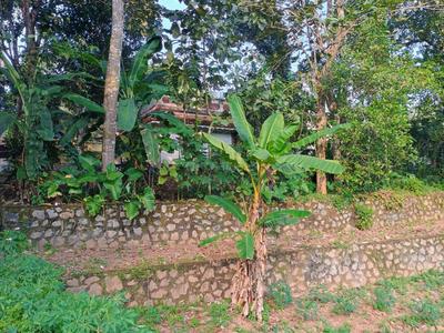 Image of 13993 Sq.ft 4 BHK Independent House for sale in Kottarakkara, Kollam for Rs. 4000000