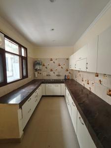 Kitchen Image of 2150 Sq.ft 3 BHK Apartment / Flat for rent in Jamuna Apartments , Aujala Mohali for Rs. 30000