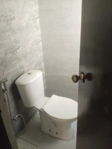 Image of 535 Sq.ft 1 BHK Apartment / Flat for rent in Amrapali Dream Valley 2, Noida Extension, Greater Noida for Rs. 14000