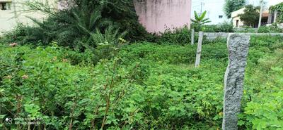 Tharabanahalli Plot View 3