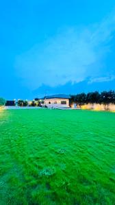 Image of 13500 Sq.ft 1 BHK Farm House for sale in Sector 9, Gurgaon for Rs. 70000013