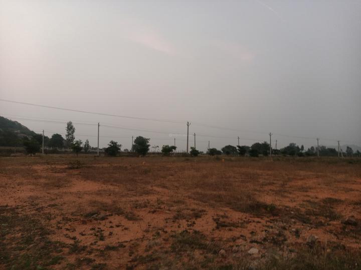 Fortune Grand Extension Main Image 1