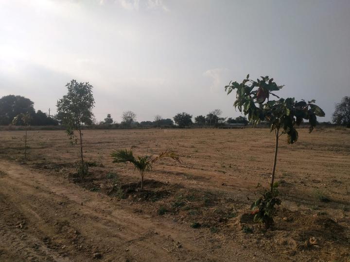 Alekhya Amara County Main Image 1