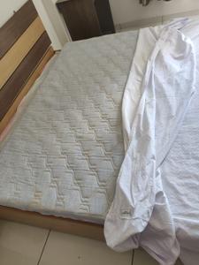 Bedroom Image of 1179 Sq.ft 2 BHK Apartment / Flat for sale in Vrindavan Heights, Gota Ahmedabad for Rs. 6600000