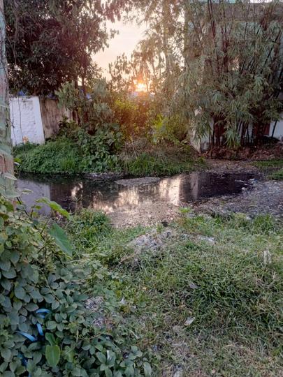 Daulatpur Main Image 1