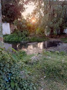 Daulatpur Plot View 1