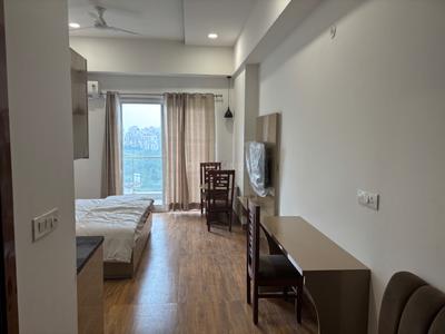 Hall Image of 650 Sq.ft 1 RK Studio for rent in Blue Spectrum Metro Block A And E, Sector 75 Noida for Rs. 38000