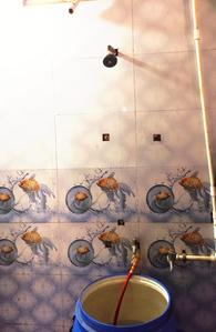 Bathroom Image of 1000 Sq.ft 2 BHK Apartment / Flat for rent in Kothrud Pune for Rs. 25000