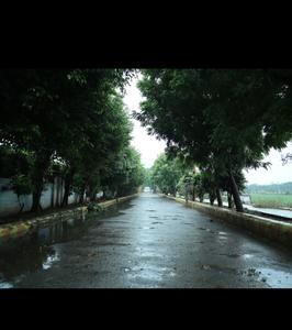 Residential Plot