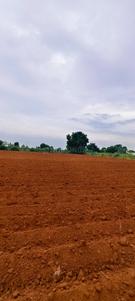 Image of 43560 Sq.ft Residential Plot / Land for sale in Mangalpally, Ranga Reddy for Rs. 9000000