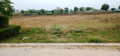 Image of 345 Sq.ft Residential Plot / Land for sale in Altus Muirwoods Ecocity Extension 2 Pocket C, Palheri, Mohali for Rs. 22300000