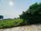 New Chandigarh agricultural land 3kanal for sale best for investment  More Images 1