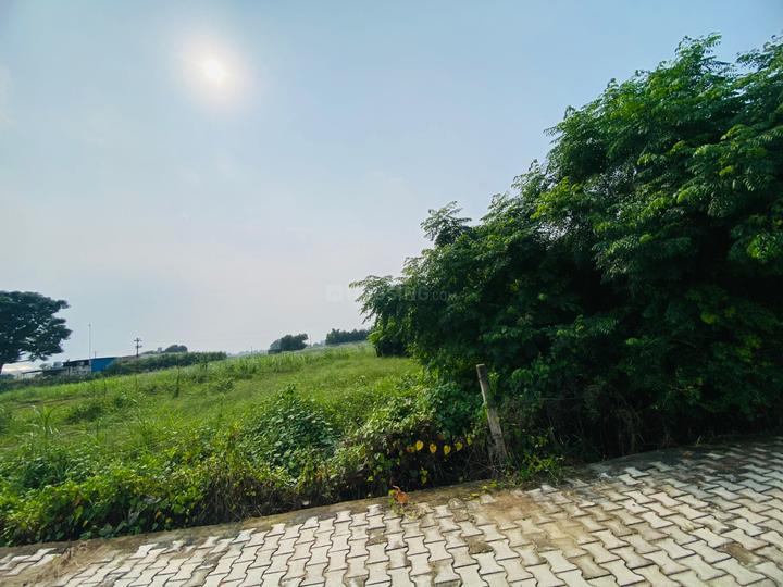 New Chandigarh agricultural land 3kanal for sale best for investment  More Images 1