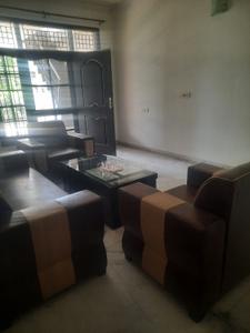 Hall Image of 1800 Sq.ft 2 BHK Builder Floor for rent in Chhoti Barandari II Jalandhar for Rs. 15000