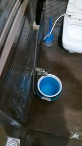 Bathroom Image of 750 Sq.ft 1.5 BHK Apartment / Flat for rent in Kaushambi Ghaziabad for Rs. 25000