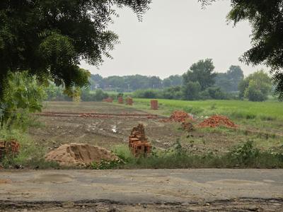 Image of 1250 Sq.ft Residential Plot / Land for sale in Babatpur, Varanasi for Rs. 1875000