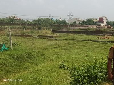 Neuri Plot View 3