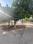 Shalimar Township Plot View 2
