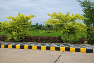 Chikkajala Plot View 2