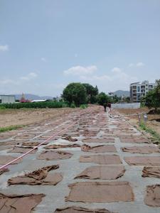 Lokmanya Colony Plot View 2