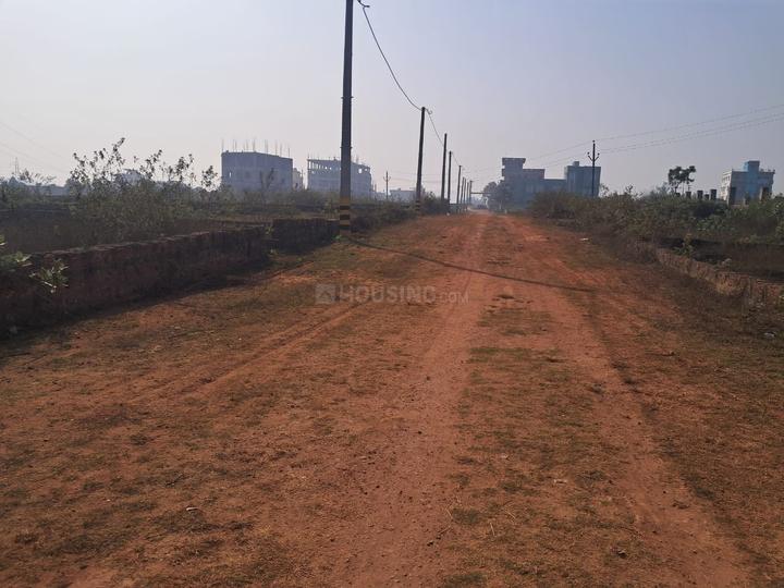 Hansapal Main Image 1