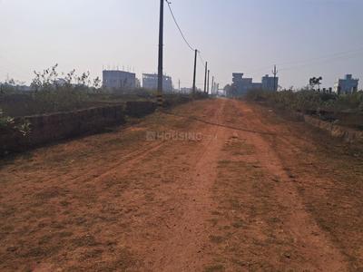 Hansapal Plot View 1