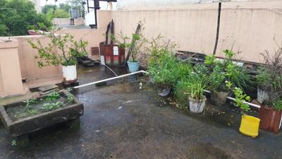 Balcony Image of 1015 Sq.ft 2 BHK Independent House for sale in Sirgitti Bilaspur for Rs. 3500000