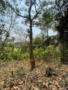 Image of 525 Sq.ft Residential Plot / Land for sale in Tivim, Goa for Rs. 16800000