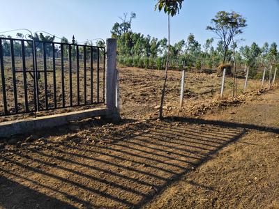 Image of 5000 Sq.ft Residential Plot / Land for sale in Jotpur, Jabalpur for Rs. 1100000
