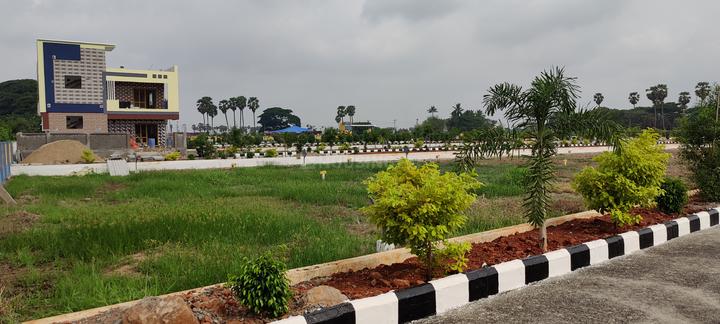 Pamarru Main Image 1