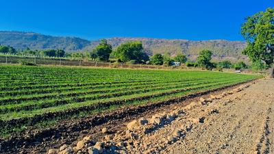 Simrol Plot View 3