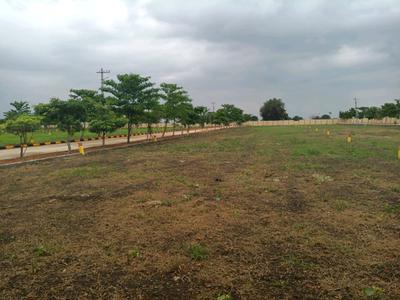 Hampton Palms Plot View 1