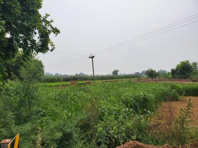 Image of 660 Sq.ft Residential Plot / Land for sale in Sahnewal, Ludhiana for Rs. 4700000