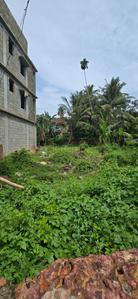 Residential Plot