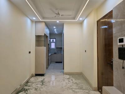 Living Room Image of 720 Sq.ft 2 BHK Apartment / Flat for rent in Janakpuri New Delhi for Rs. 37000
