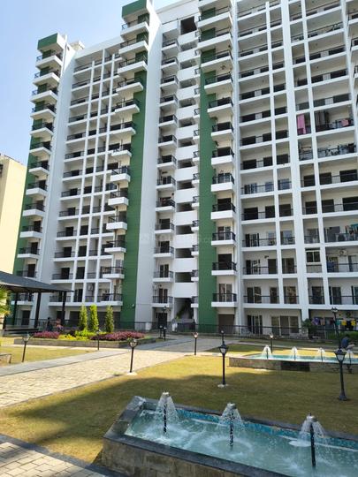 Cosmos Greens Main Image 1