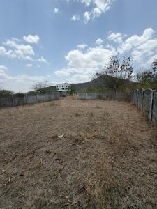 Ashwamedh Plot View 2