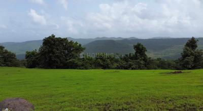 Image of 10000 Sq.ft Residential Plot / Land for sale in Khandad, Raigad for Rs. 350000