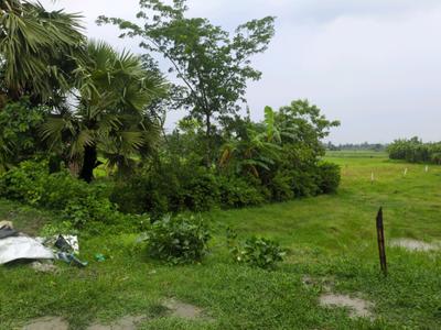 Golden city 2 Sonarpur plot project Plot View 1