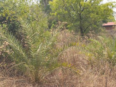 Image of 5400 Sq.ft Residential Plot / Land for sale in Rajanukunte, Bengaluru for Rs. 24300000