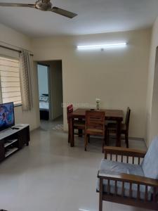 Hall Image of 900 Sq.ft 2 BHK Apartment / Flat for sale in Maple Aapla Ghar Kirkatwadi, Dhayari Pune for Rs. 4500000