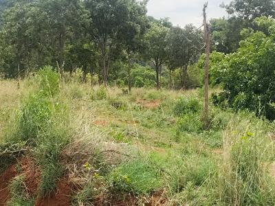 Image of 9592 Sq.ft Residential Plot / Land for sale in Pannimadai, Coimbatore for Rs. 8580000