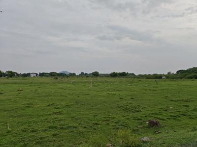 Image of 1200 Sq.ft Residential Plot / Land for sale in Singaperumal Koil, Chennai for Rs. 2400000