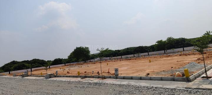 NS Meadows Main Image 1