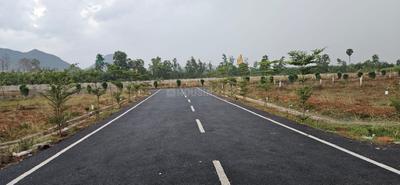 Pendhurthi Gullepalli Plot View 2