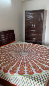Bedroom Image of 600 Sq.ft 1 BHK Apartment / Flat for rent in Sankalp Alexa Homes, Jagatpura Jaipur for Rs. 20000