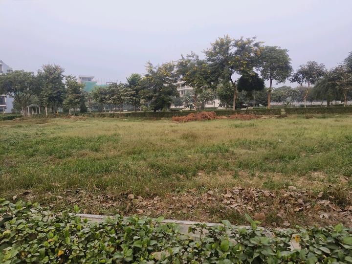 Orris Anandam Ora Main Image 1