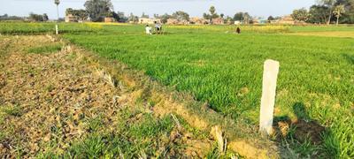 Image of 1200 Sq.ft Residential Plot / Land for sale in Bihta, Patna for Rs. 1600000