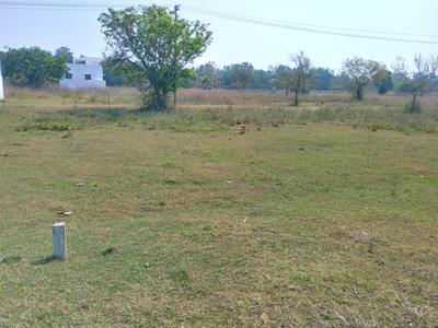 Poonjeri Plot View 1