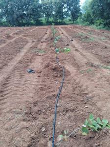 Image of 150 Sq.ft Residential Plot / Land for sale in Beeramguda, Sangareddy for Rs. 1500000